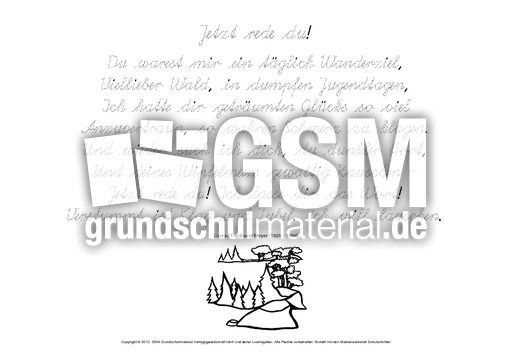 Jetzt rede du-Meyer-SAS.pdf